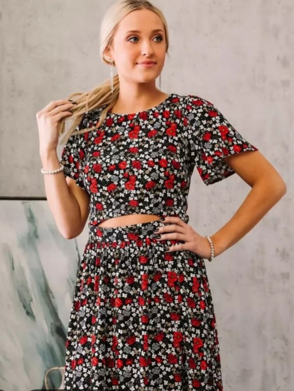 Willow And Root Ditsy Floral Dress Nwt